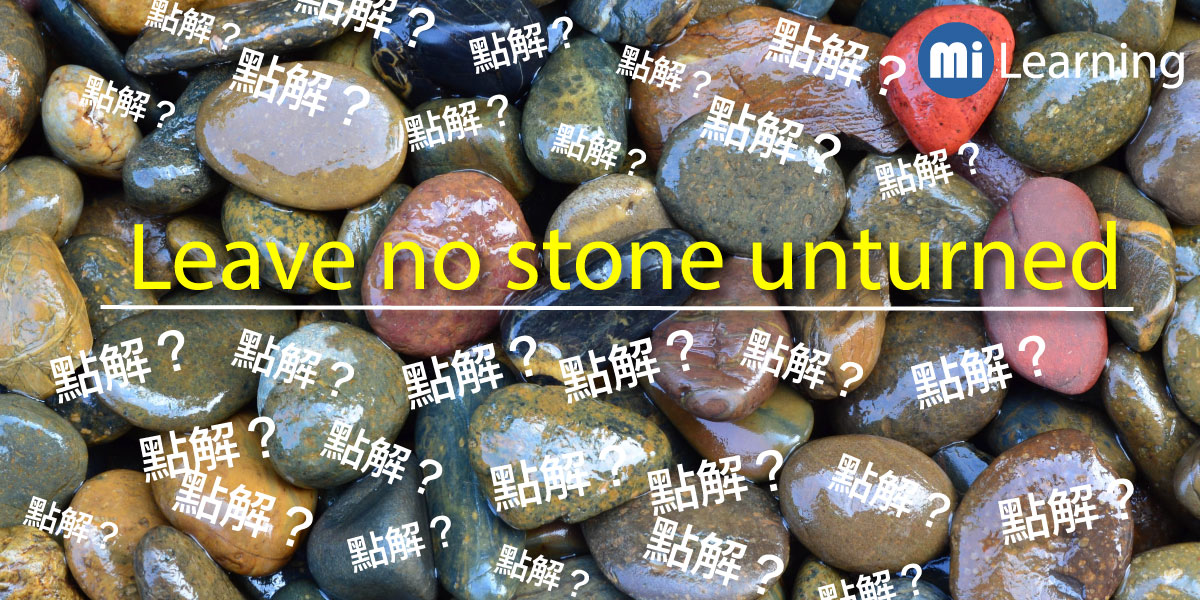 Leave no stone unturned