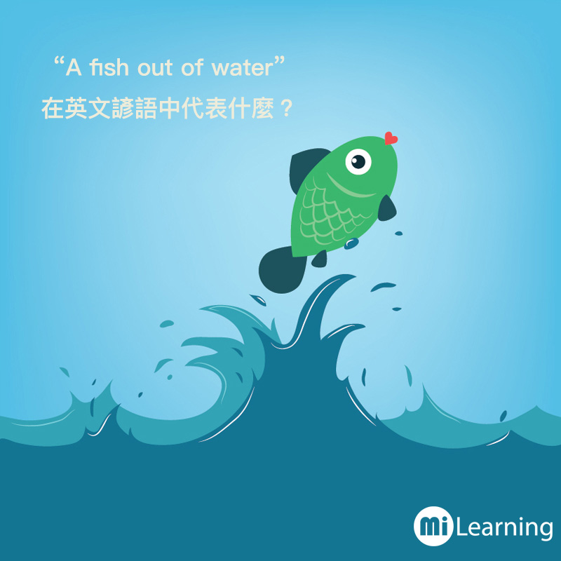 "A fish out of water"在英文諺語中代表什麼？