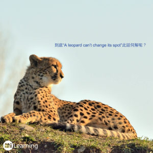 到底"A leopard can't change it's spot"此話何解？