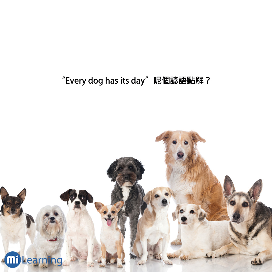 Every dog has it's day 呢個諺語點解？