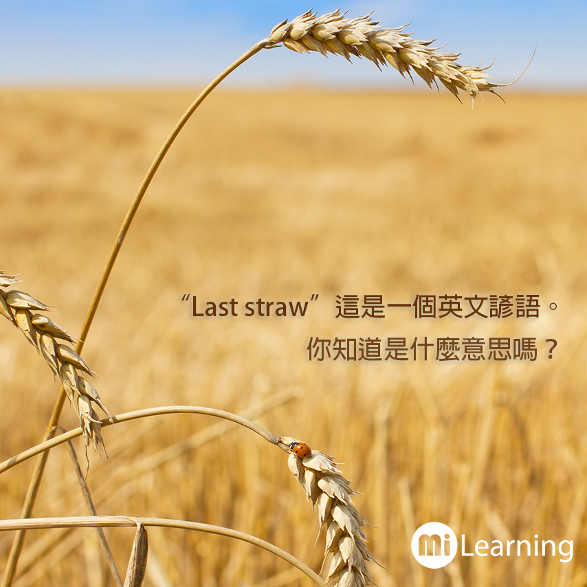 Last straw 這個英文諺語是什麼意思嗎？