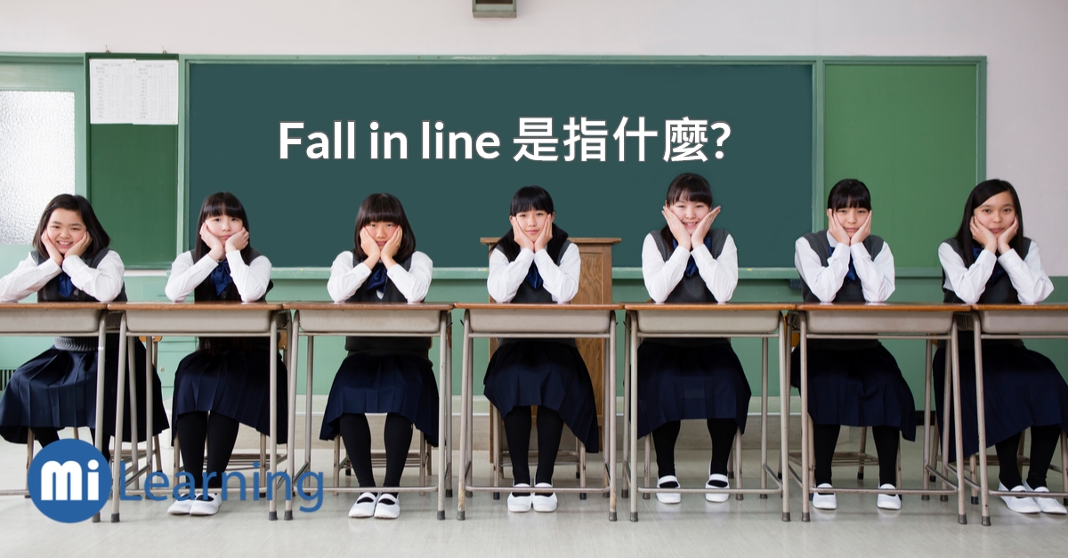 Fall in line 是指什麼?