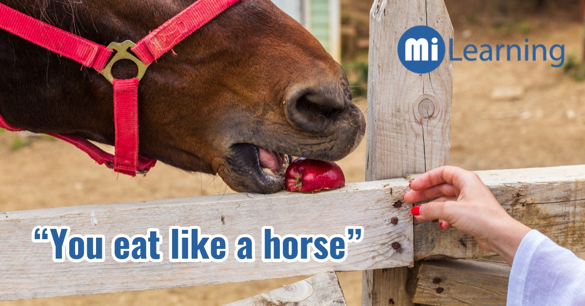 “You eat like a horse” 朋友笑說你吃東西跟馬一樣，是指你只吃素菜嗎？